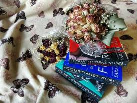 49165593_1843726325753396_8468502736827056128_n