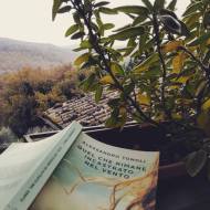 Quel che rimane incastrato nel vento